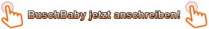 Buschbaby jetzt anschreiben