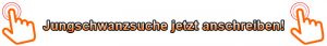 Jungschwanzsuche Kontakt